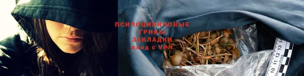 дурь Алзамай