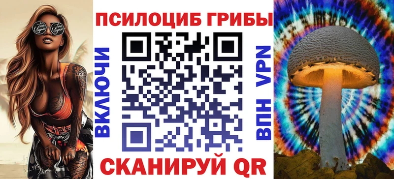 что такое   Буй  Галлюциногенные грибы Psilocybe 
