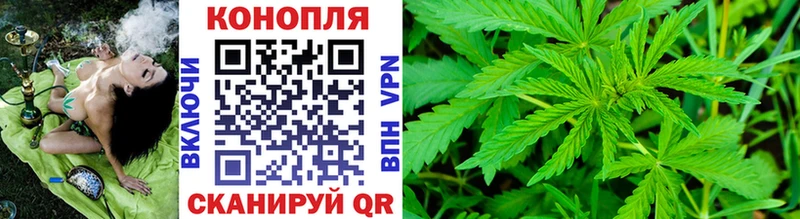 где найти наркотики  Буй  blacksprut ССЫЛКА  Канабис ГИДРОПОН 